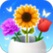 花开大吉，入0.37R。